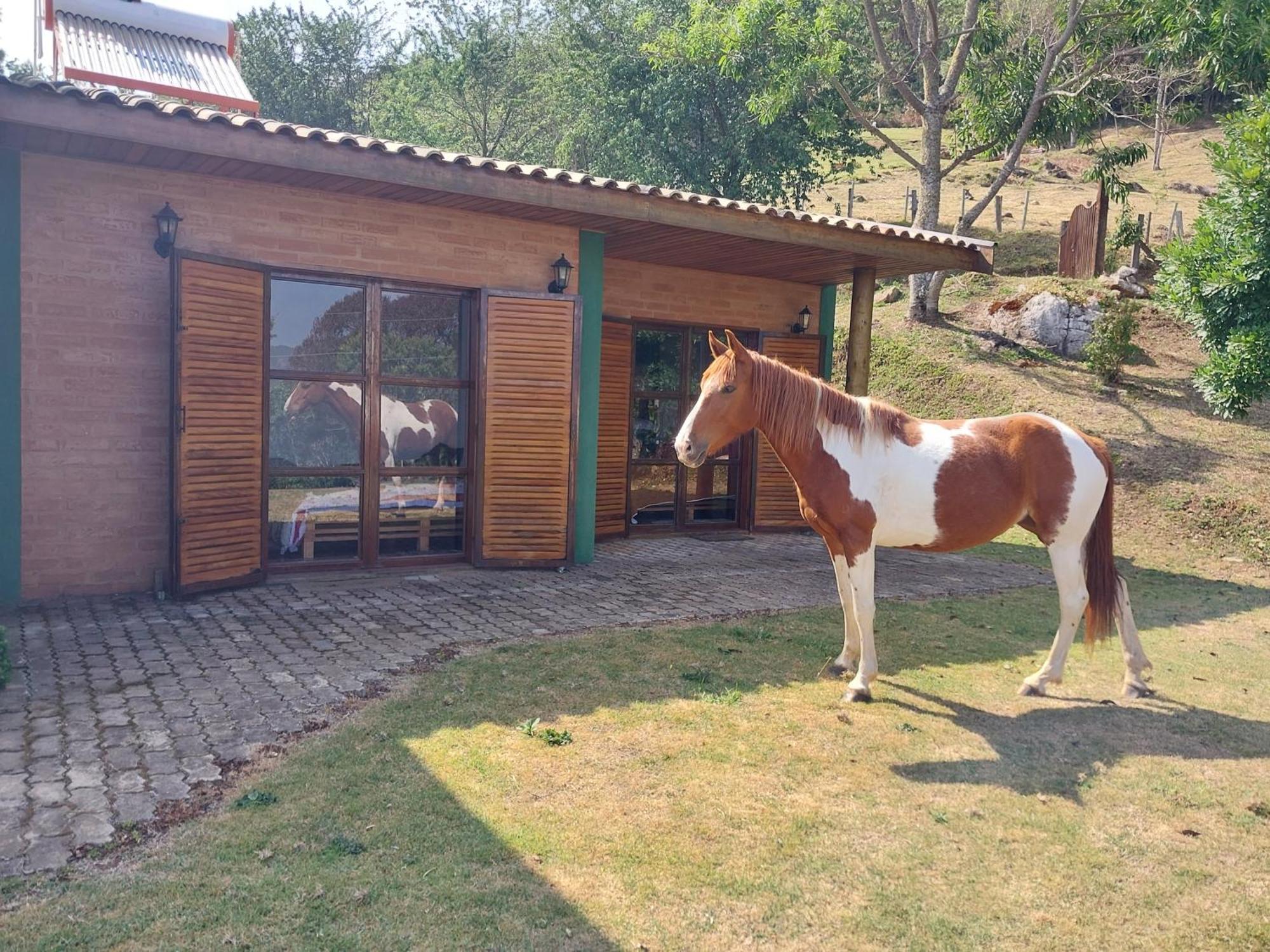 Villa Casa Na Montanha Gonçalves Exterior foto